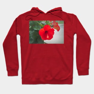 Red Dancing Hibiscus Hoodie